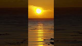 Sea Kayakers at Sunset on Vancouver Island near Ucluelet and the Broken Group Islands [upl. by Chemash]