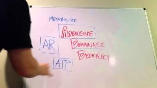 Adenosine Deaminase Deficiency Type of SCID [upl. by Ahsilra]