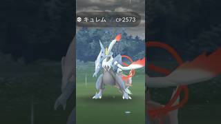 You MISSED Black Kyurem and White Kyurem in Pokémon GO [upl. by Narah677]