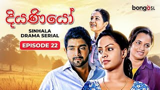 à¶¯à·’à¶ºà¶«à·’à¶ºà·  Diyaniyo  Episode 22  New Teledrama [upl. by Aciria]