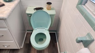 Mint Green 1966 Crane Rexmont toilet [upl. by Citron913]