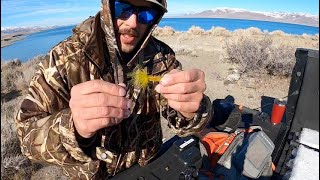 FLY TYING  NotSoBalanced Leech  PYRAMID LAKE [upl. by Taddeo]