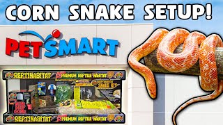 Corn Snake Setup for Beginners [upl. by Ecydnak]