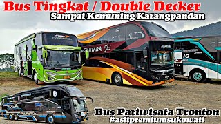 Bus Tronton Double Deck Sampai Kemuning  Bus Tronton NUSANTRA dan SGN HOLIDAY [upl. by Ainekahs]