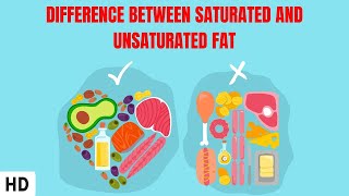 Difference Between Saturated And Unsaturated Fat [upl. by Atinad]