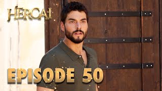 Hercai  Herjai Urdu  Episode 50 [upl. by Selim724]