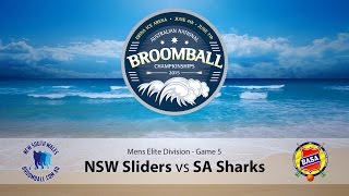 2015 Australian Broomball Nationals Game 5  NSW vs SA [upl. by Terrie]