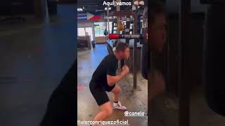 CANELO ÁLVAREZ WORKING ON SPEED amp COUNTER PUNCHING FOR EDGAR BERLANGA [upl. by Ahsenyt]