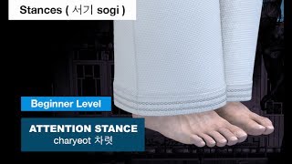 Taekwondo  Attention Stance  차렷 charyeot [upl. by Nyrrat]