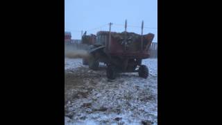 shredding flax straw for bedding [upl. by Quirk]