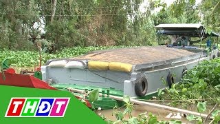 Nông dân giữ lúa lại vì công ty liên kết chậm trả tiền  THDT [upl. by Aramoix]