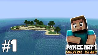 Coral island  Minecraft timelapse 113  Survival island IV  Episode 1 [upl. by Rosella]