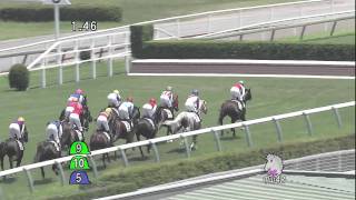 2011年7月9日 中山4R 障害未勝利 ボストンプラチナ [upl. by Katherin252]