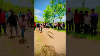 Kolhapur Dog race  Greyhound races UK  Dog Race  shorts dograce [upl. by Dewie246]