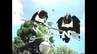 Windex Talking Crows Commercial 1999 [upl. by Dibbell]