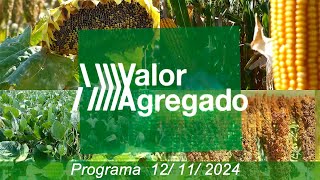 VALOR AGREGADO 12 11 2024 [upl. by Winthorpe]