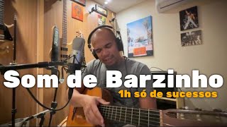 Som de Barzinho  Live Show [upl. by Ashleigh862]