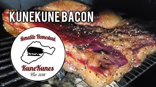 kunekune pigs Farm to Table Hot Smoked Bacon [upl. by Ahsienak]