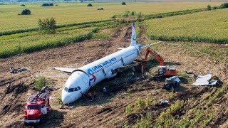 Crash at the corn field  Ural Airlines Flight U6 178  Animated [upl. by Mctyre909]