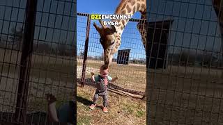 Niezwykły Pocałunek w Zoo 🦒👶❤️ [upl. by Etheline]