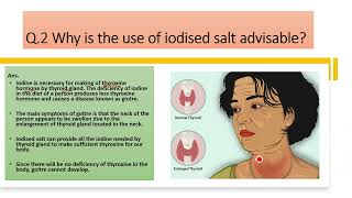 Why is the use of iodised salt advisable [upl. by Nettie]