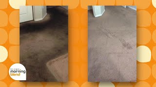 Zerorez Offers Carpet Cleaning Special for Holiday Season [upl. by Eiramit]