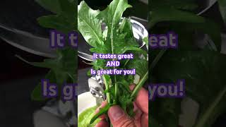 SUPER JUICER SALE amp Green Juice Recipe purejuicer liverdetox juicerecipes greenjuice detoxjuice [upl. by Erdda]