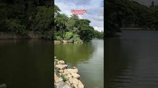 Ulsoor Lake stunning view ✨✨✨shortvideo trending india এম [upl. by Buckler]