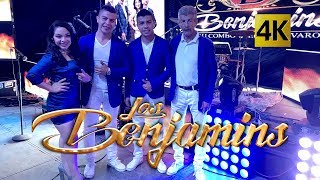 Los Benjamins  Concierto Con El Ritmo y El Sabor 4K [upl. by Raimund]