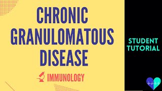 Chronic Granulomatous Disease  Medical Tutorial [upl. by Godfry]