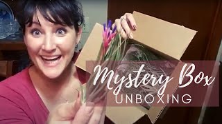 Unboxing Mystery Box Air Plants [upl. by Bennir]