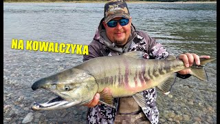 ZŁOWILIŚMY PONAD PÓŁ TONY ŁOSOSI W JEDEN DZIEŃ SALMON FISHING IN CANADA 2024 KILBYLODGE FISHINGTOUR [upl. by Gae]