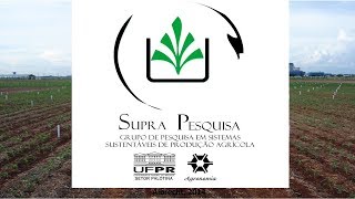 Antagonismo na aplicação de Herbicidas [upl. by Delahk]