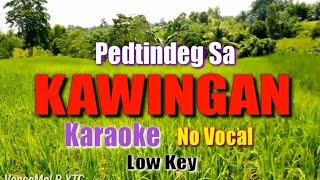 PEDTINDEG SA KAWINGAN  Nyt Lumenda karaokelyrics [upl. by Le]