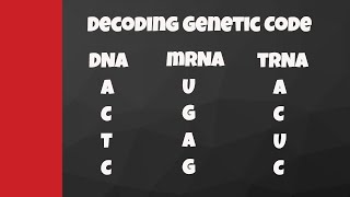 Decode from DNA to mRNA to tRNA to amino acids [upl. by Bannon]