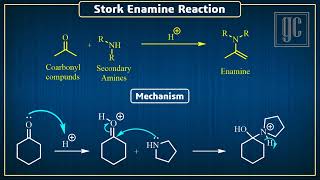 Stork Enamine Reaction Name reactionsSeriesGC [upl. by Davon489]