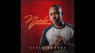 Scelo Gowane  Njalo Official Audio [upl. by Naeerb]