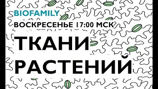 Ткани растений  BioFamily  Андрей Фрейдман [upl. by Alleber]