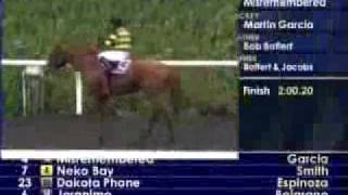 2010 Santa Anita Handicap [upl. by Yelsew]