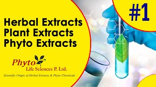 Phytochemicals  Herbal Extracts  Plant Extracts  Phyto Extracts [upl. by Haraz991]