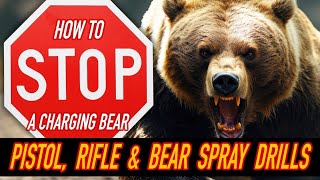 Pistol rifle and bear spray drills  Grizzly attack survivor rates internet’s bear attack drills [upl. by Janicki]