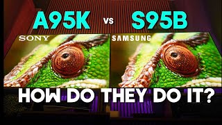 Sony A95K vs Samsung S95B Head to Head QDOLED Review  Which TV Should You Buy [upl. by Giselbert]