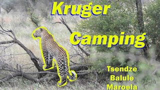 Satellite Tour  Maroela  Tsendze  Balule  Camping in Kruger National Park Satellite Campsites [upl. by Stephenie]