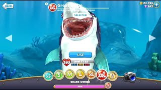 Eat 50 Humans HARBOR Contest GREAT WHITE  Hungry Shark World [upl. by Nylrac]