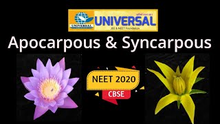 Difference between Apocarpous amp Syncarpous ovary NEET amp CBSE [upl. by Thordia]