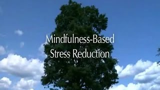 MindfulnessBased Stress Reduction UMass Medical School Center for Mindfulness [upl. by Marika39]