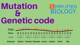 MUTATION AND GENETIC CODE for NEET AIIMS AIPMT MCAT JIPMER PREMED [upl. by Gabriela]