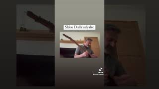 Shko Dallëndyshe  Cover Agim Tejeci [upl. by Plunkett]