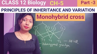 Monohybrid cross Class 12 biology CH 5NCERTNEETbiology neet [upl. by Vergos]