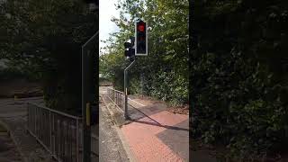 Harlow London Road Telent 4G Traffic Lights Toucan Crossing [upl. by Llerreg]